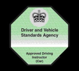 DVSA green badge, fully qualified Approved Driving Instructor (ADI)